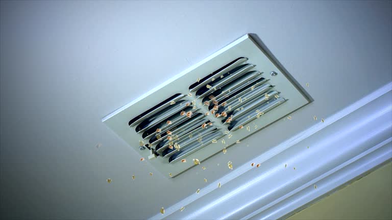 Best Professional Duct Cleaning Services  in Roosevelt, NJ